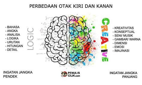 Otak manusia terbagi atas dua hemisfer, yaitu otak kanan dan otak kiri. Perbedaan otak kiri dan kanan - Penulis Cilik