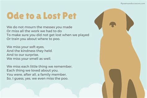 15 Pet Memorial Poems Pet Loss Poem Pet Poems Pet Loss
