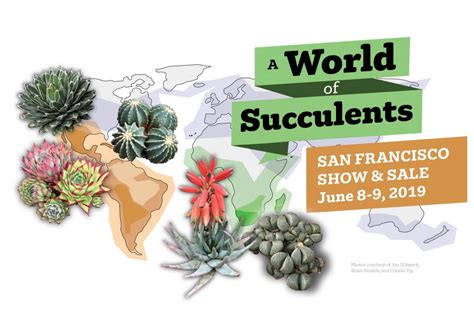 The haul of cacti and succulents included at least eight endangered and threatened species. 2019 Annual Show & Sale | San Francisco Succulent & Cactus ...