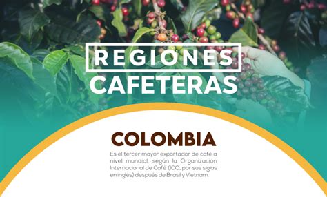 Regiones Cafeteras Colombian Coffee Usa