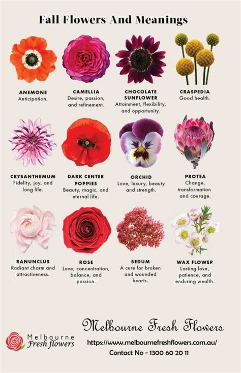 Flowers Meanings Chart Flowers Art Ideas Pages Dev