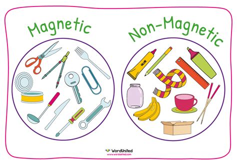 Magnetic Or Non Magnetic Sorting Activity Wordunited