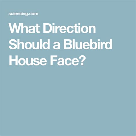 What direction should a garden face. What Direction Should a Bluebird House Face? | Bluebird ...