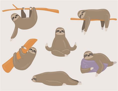Cute Sloth In Different Poses 2462148 Vector Art At Vecteezy