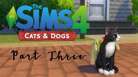 Sims 4 Cats and Dogs | New House and Aging Up | Part 3 - YouTube