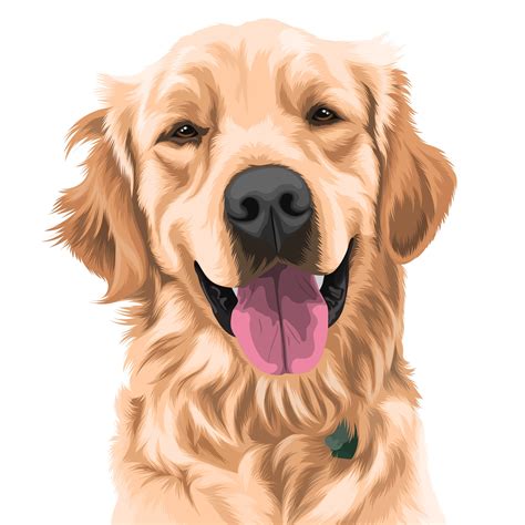 Golden Retriever Happy Golden Retriever Dog Illustration Vector