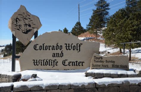 Colorado Wolf And Wildlife Center In Divide Is An Educational And Fun