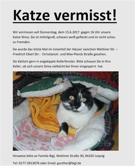 Katze, kater vermisst gesucht nrw 2021. Vermisstenanzeige Katze Vorlage Wunderbar ...