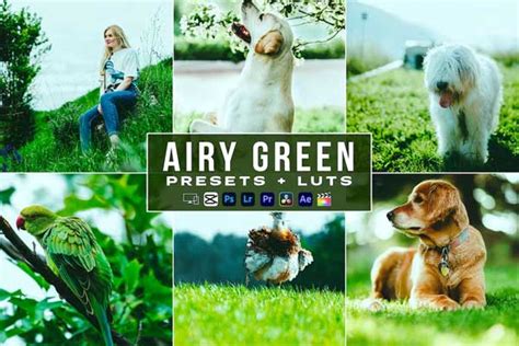 Airy Green Presets Luts Videos Premiere Pro Photoshopresource