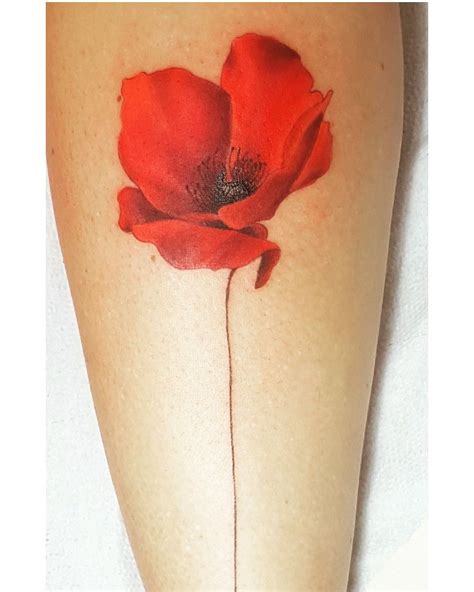 My Wonderful Poppy Tattoo Amazing Poppy Tattoo