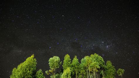 Wallpaper Night Stars Sky Trees 4k Nature 16014
