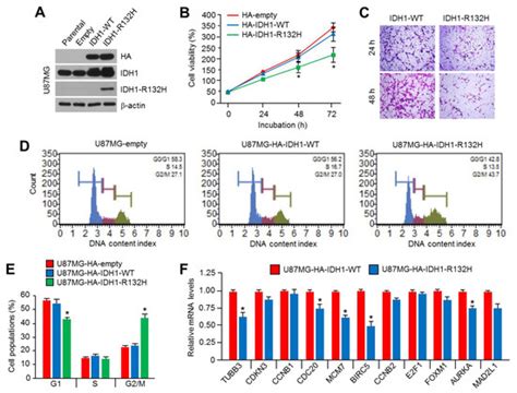 Ijms Free Full Text Idh1r132h Causes Resistance To Hdac Inhibitors