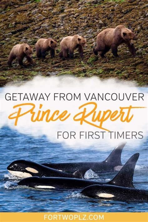 Epic Weekend Trip From Vancouver 9 Ways To See Prince Rupert Bc