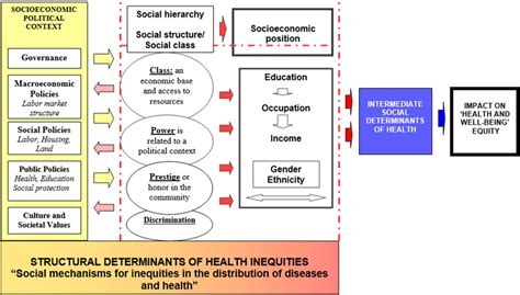 Conceptual Framework Of The Social Determinants Of Health And Health