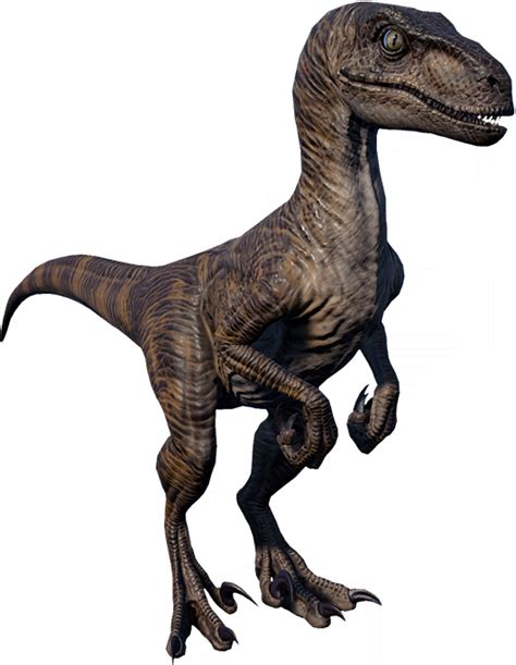 Jurassic World Velociraptor Delta Figure Ubicaciondepersonascdmxgobmx