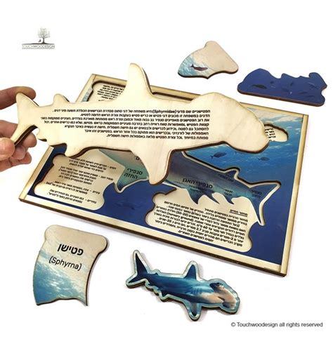 Hammerhead Sharks Educational Wooden Puzzle Touchwoodesign