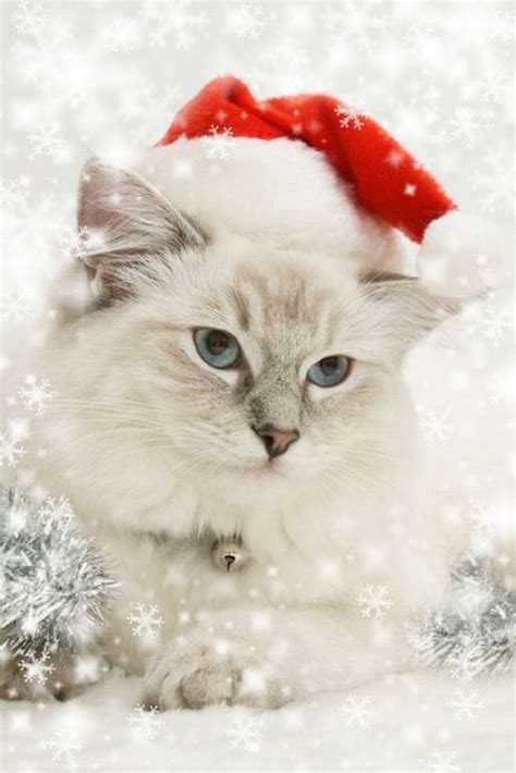 beautiful animals dress   christmas ladies mails