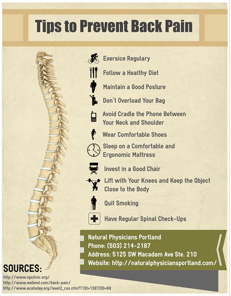 Tips To Prevent Back Pain Visually