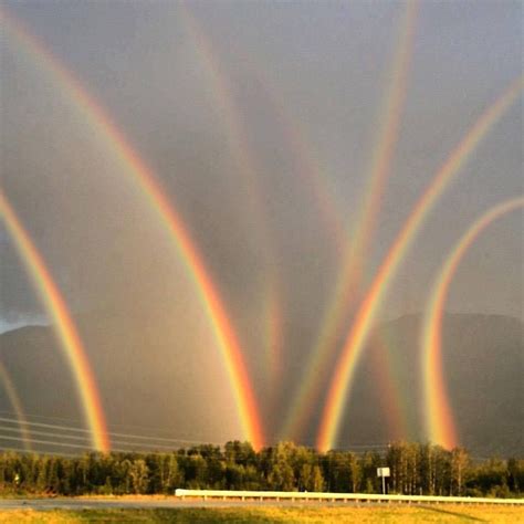 Gina Ardis Eight Rainbows Simultaneously In One Amazing Nature