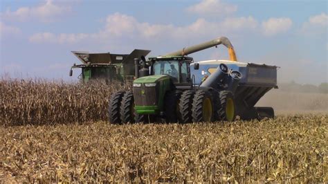 Harvesting Corn