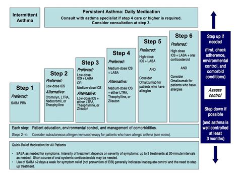 Asthma Management Stepwise Approach Explained Faculty Of Medicine