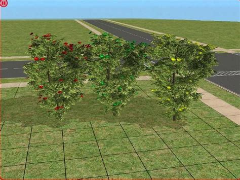 Mod The Sims Testers Wanted Apples And Orange Hibiscus Trees Updated