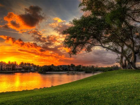 Beautiful Sunset Red Clouds Villa Lake Coast Green Meadow Tree Palm