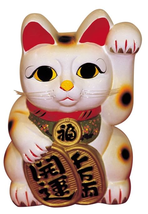 Inspirasi Penting 25 Japanese Lucky Cat