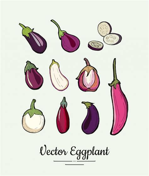 Premium Vector Eggplant Vegetable Groceries Vintage Set Hand Drawn