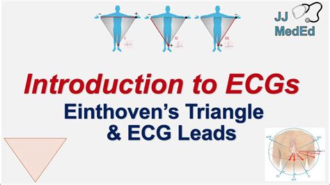 Introduction To Ecg The Basics Einthovens Triangle Limb