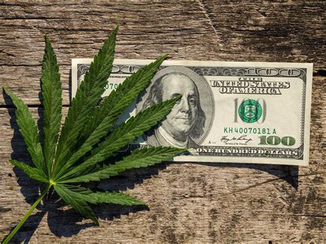 25 Best Paying Jobs In The Cannabis Industry Today Work Money