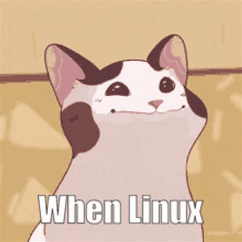 Linux S