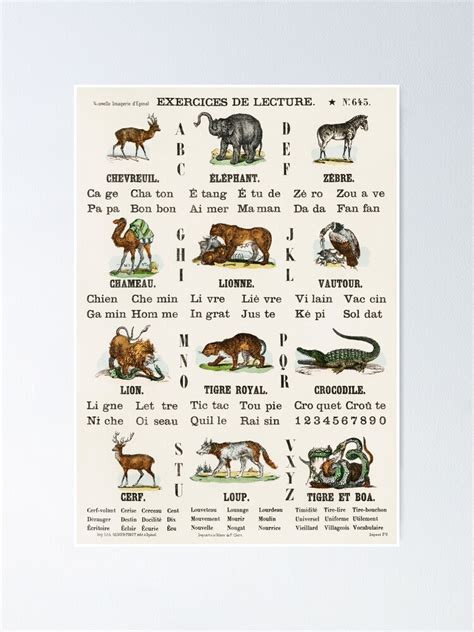Vintage French Alphabet Chart Poster For Sale By Suziqprayers427