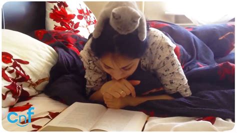 Girl Reads With Kitten On Her Head Life With Cats