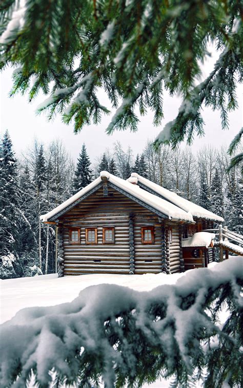 Free Download Snow Winter House Pine Needles Spruce Trees Wallpaper