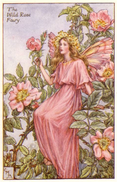 Flower Fairies Cicely Mary Barker 1925 Rose Fairy Fairy Magic