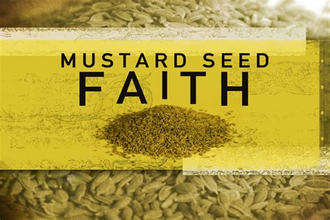 Gospel Reflections Daily The Parable Of Mustard Seed January 28th