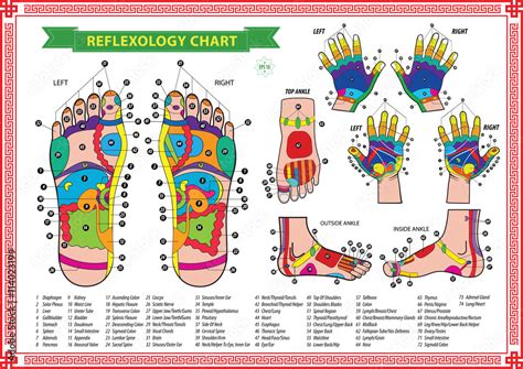 Oot And Hand Reflexology Chart With Accurate Description Of The Corresponding Internal And Body
