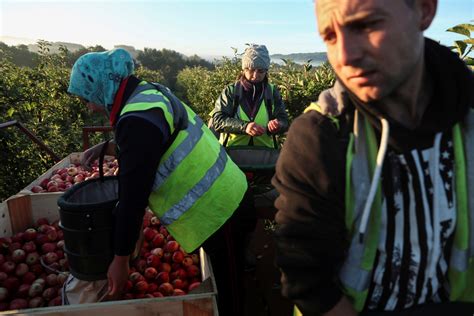 Brexit Impact Labour Shortages Worst Since 2004 Across The Uk Food