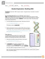 Form popularity building dna answer key pdf form. Building DNA Gizmo.pdf - Name_ALEXA MO_NSALVE Date_04 02 ...