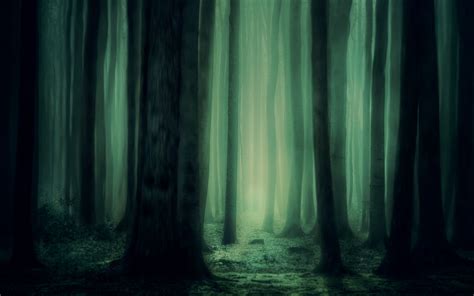 Download Wallpaper 2560x1600 Forest Fog Trees Dark Gloomy