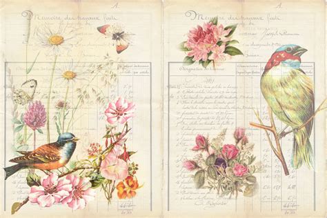 Vintage Birds Backgrounds By The Paper Princess Thehungryjpeg