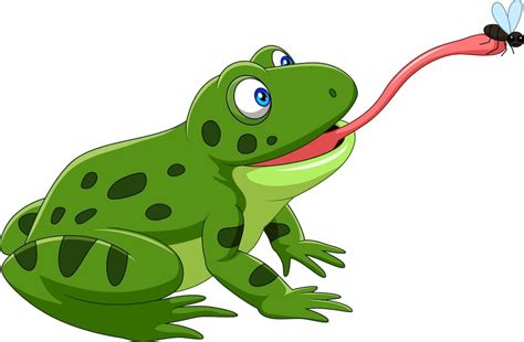 Premium Vector Cartoon Frog Catching A Fly