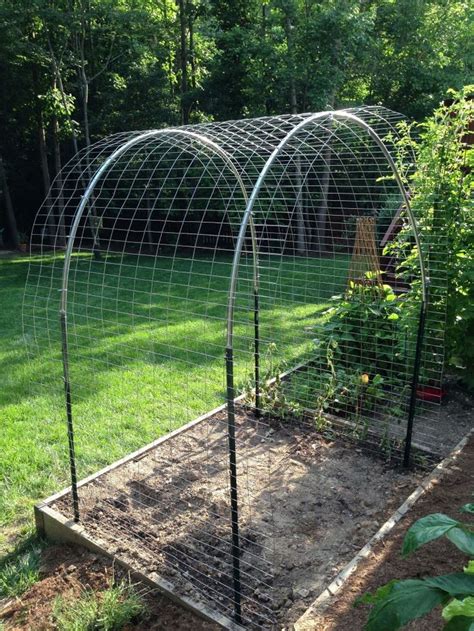 20 Best Ideas Of Easy Low Budget Diy Squash Arch Designs For Your