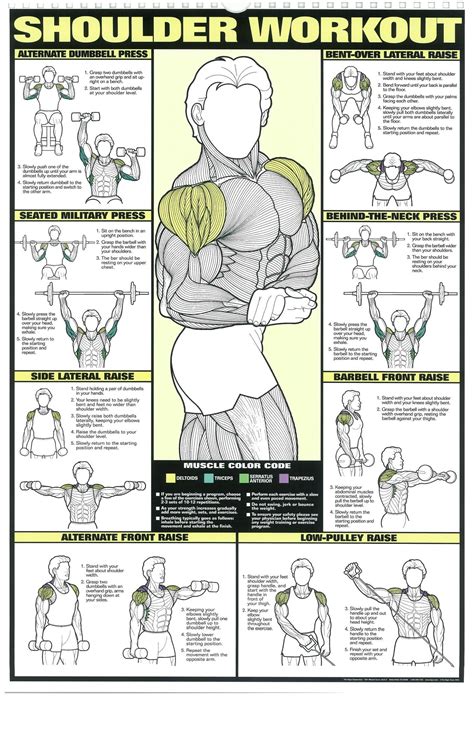 Workout Posters 6 Shoulder Workout Workout Posters Gym Workout Chart