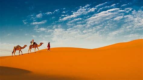 Hd Wallpaper Photography Caravan Camel Desert Wallpaper Flare