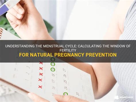 understanding the menstrual cycle calculating the window of fertility for natural pregnancy