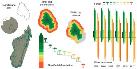 Forests Free Full Text Exemplifying Stratified Deforestation In