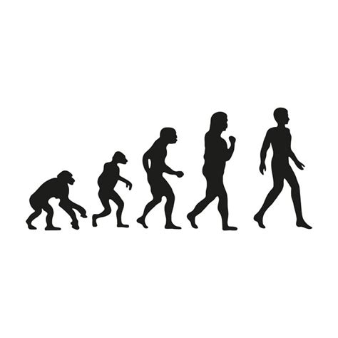 Silhouette Mensch Evolution Vektorgrafik Lizenzfreie Grafiken 49d