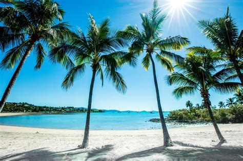 Tropical Delight Your Guide To Qlds Airlie Beach And Surrounds Big4